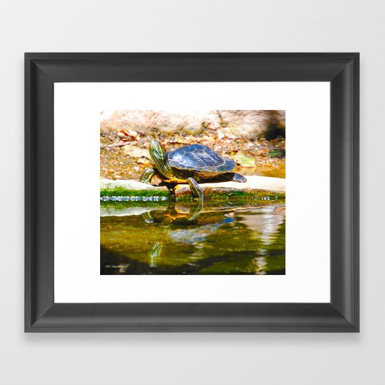 Red Ear Slider Turtle Framed Art Print