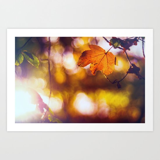 Fall into Autumn Art Print