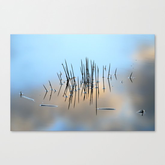 Pinchos Canvas Print