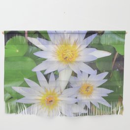 Pretty white water lilies flowers Wall Hanging