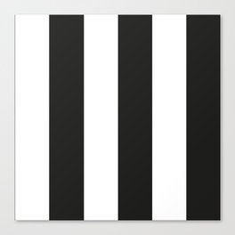 Black and white stripe pattern Canvas Print