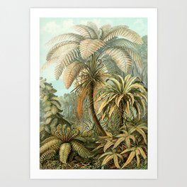 Vintage Tropical Palm Art Print