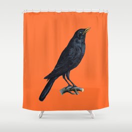 Vintage Raven Shower Curtain