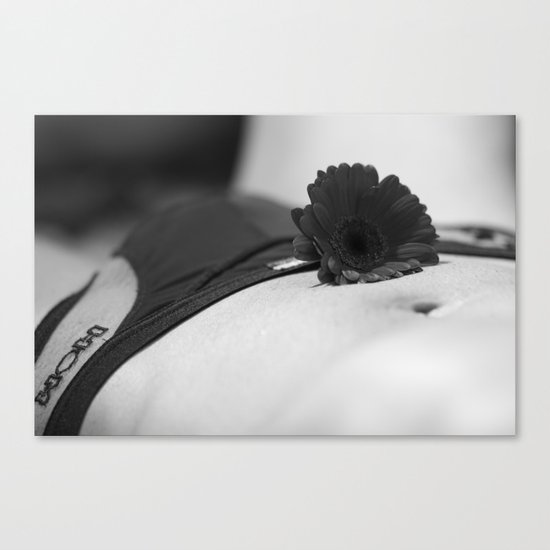 Presentable Canvas Print