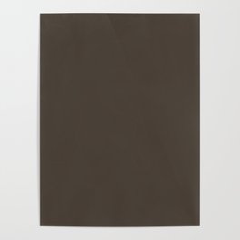 Dark Brown Solid Color Pairs Pantone Slate Black 19-0814 TCX Shades of Brown Hues Poster