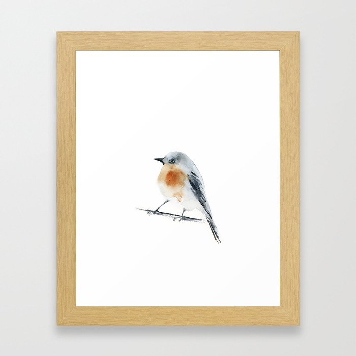 Robin Bird Framed Art Print