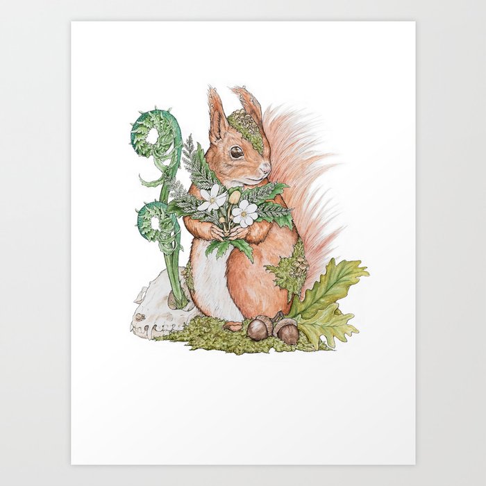 Red Squirrel Art Print