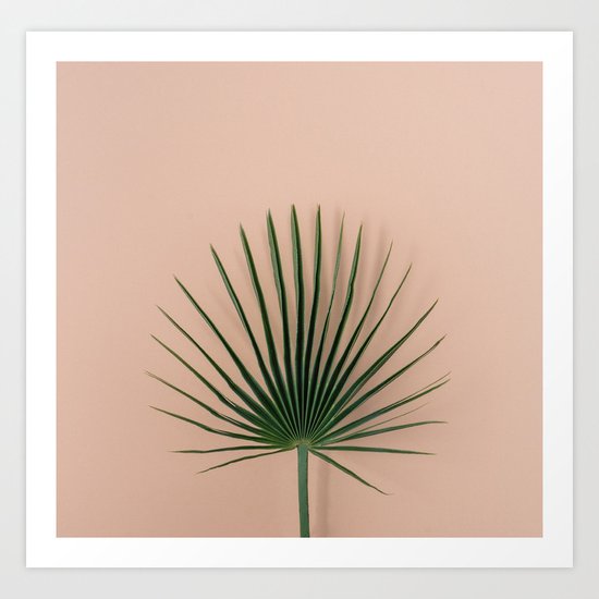 pink botanics Art Print