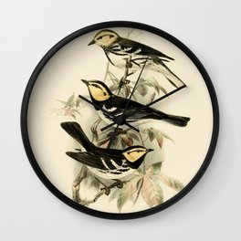 Vintage Birds Golden-cheeked Warbler Illustration  Wall Clock