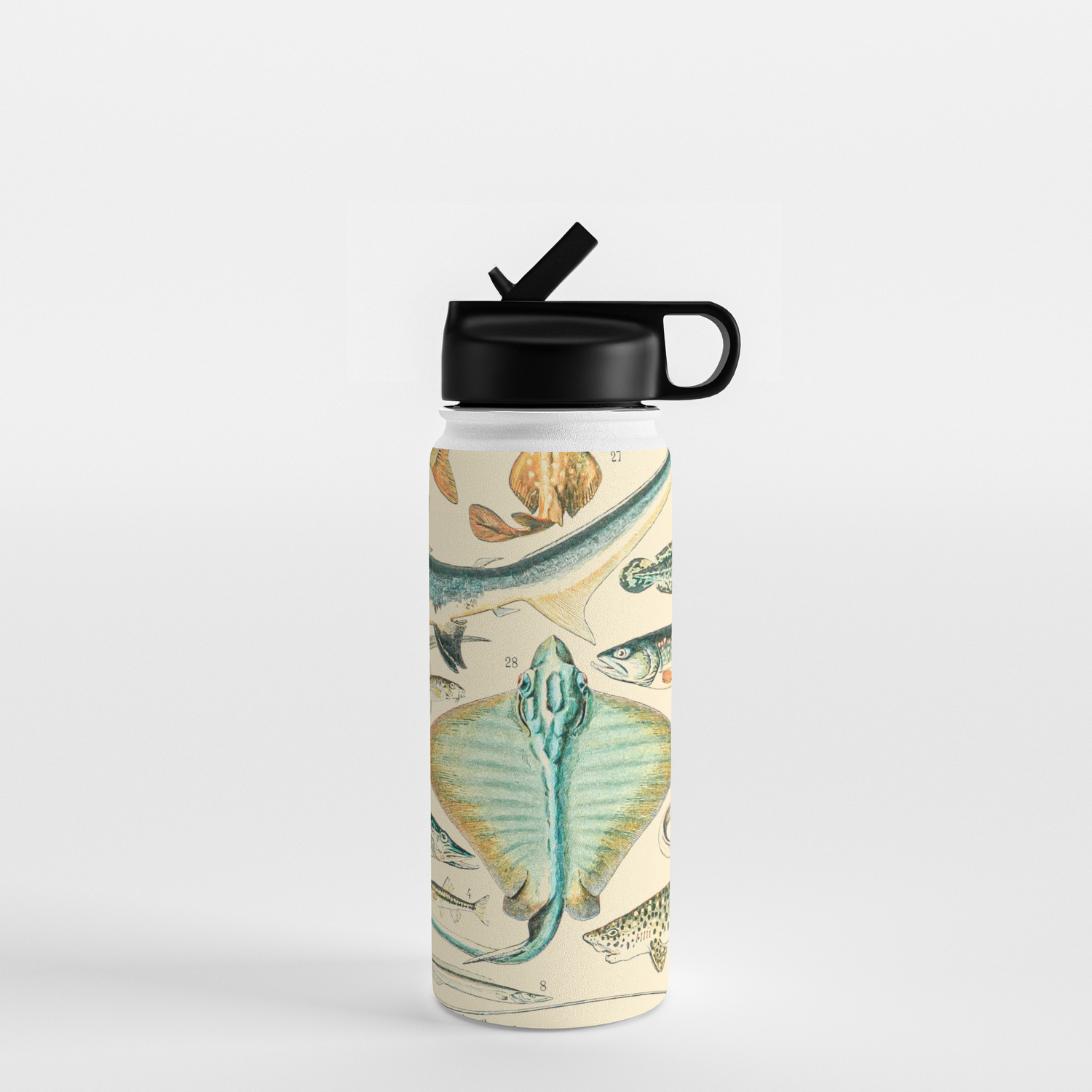 Vintage Fish Diagram Poissons Ii By Adolphe Millot Xl 19th Century Science Textbook Artwork Water Bottle By Public Artography Society6
