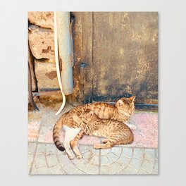 Mama Cat and Her Cub Canvas Print
