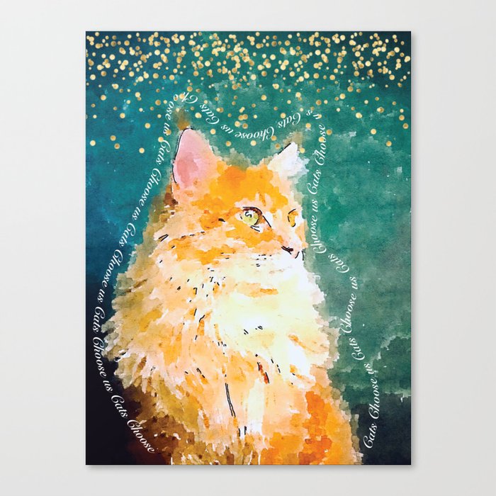 Cat's Choice Canvas Print