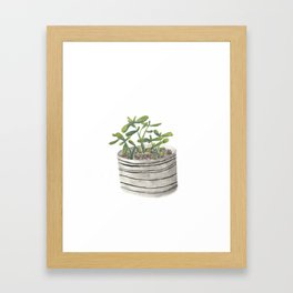 Jade Plant Framed Art Print