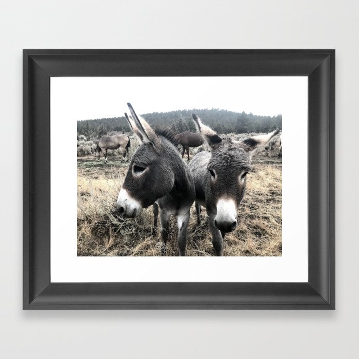 Wild Donkey Duo at Sunrise Framed Art Print