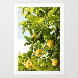Amalfi Lemon Dream #2 #travel #wall #art #society6 Art Print