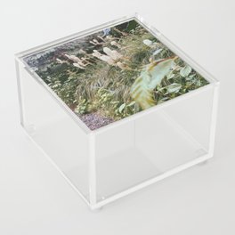 Beargrass Acrylic Box