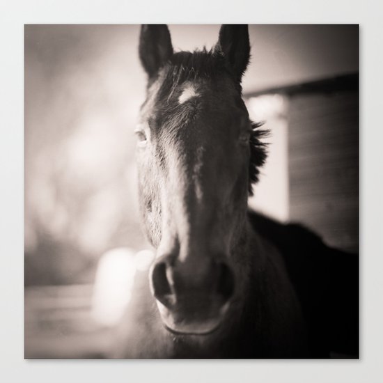 Nissan Canvas Print
