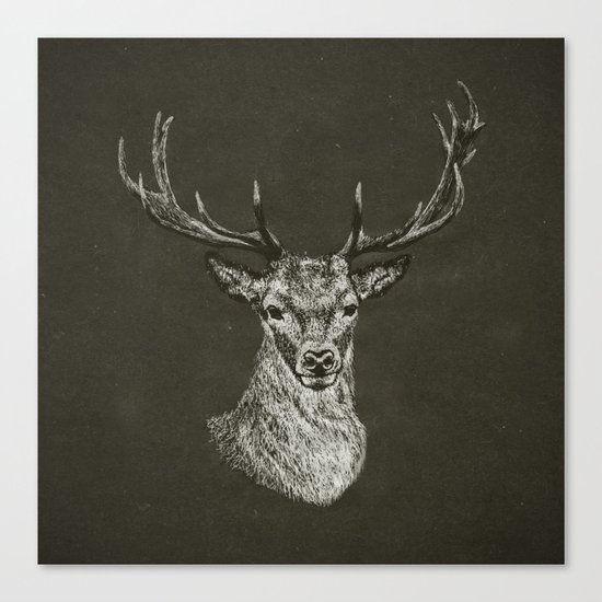DEER Canvas Print