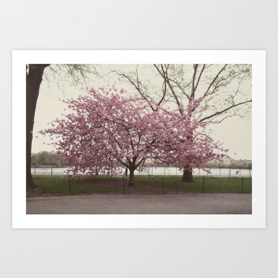 in bloom::nyc Art Print