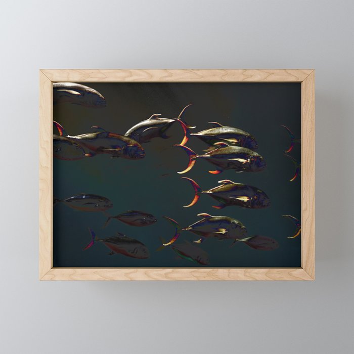Fish - Underwater Framed Mini Art Print