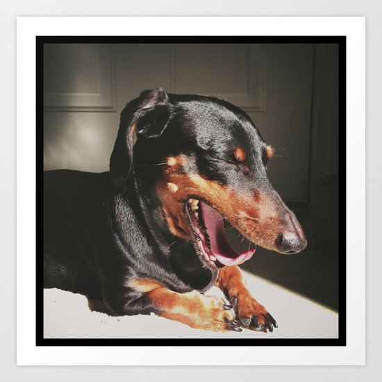 The Yawn Art Print