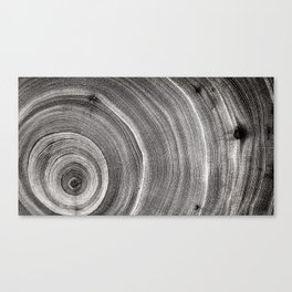 Detailed Black and White Tree Rings Canvas Print