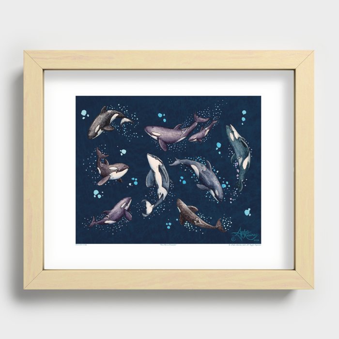 "Orca Pod in Watercolor" by Amber Marine, (Navy Blue Version) Killer Whale Art, © 2019 Recessed Framed Print