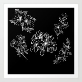 WHITE FLOWERS Art Print
