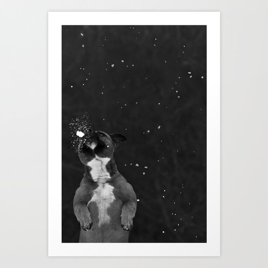 Snow Dog Art Print