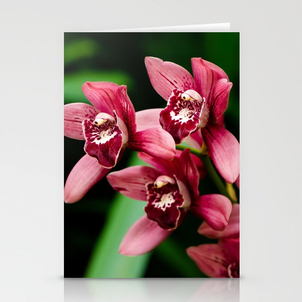 Red Orchid Stationery Cards