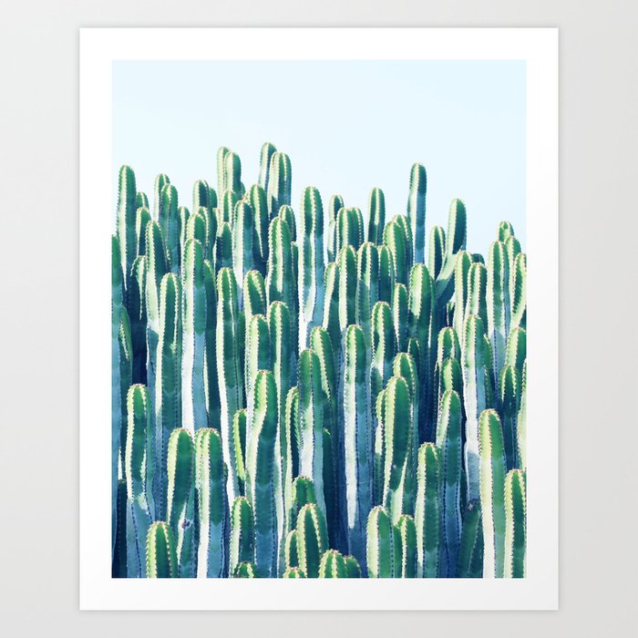 Cactus, Nature Botanical Blue Green Photography, Eclectic Jungle Scenic Summer Neutral Plants Art Print