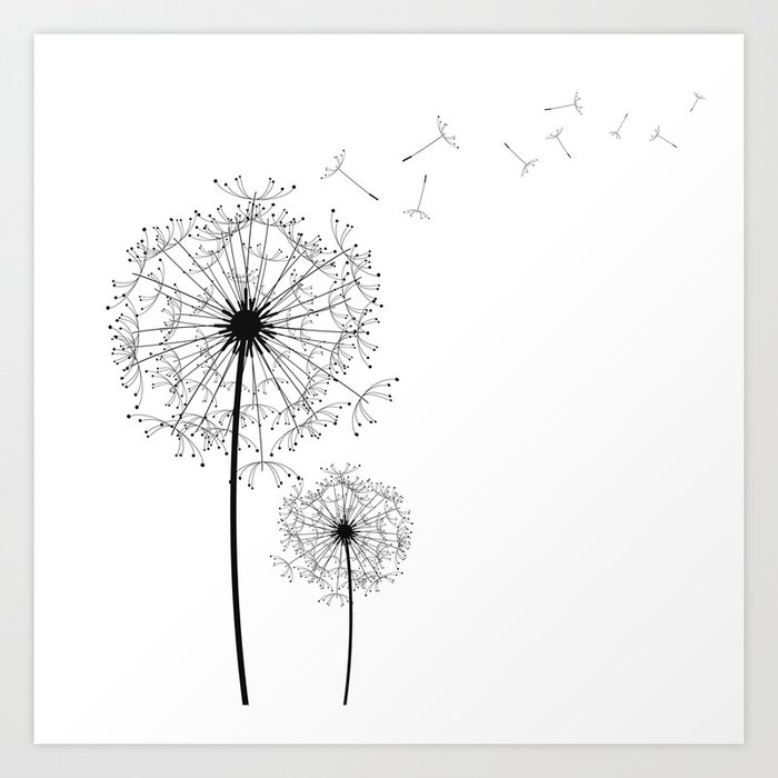 Black And White Dandelion Sketch Art Print by Magictrees & Bumblebees ...