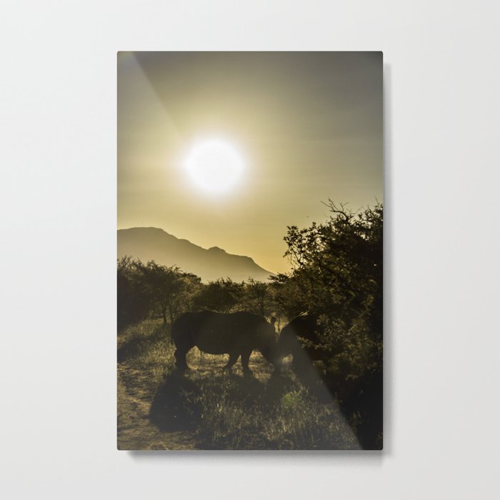Rhino sunset Metal Print