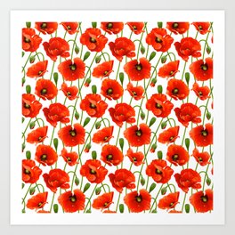 Beautiful Red Poppy Flowers Art Print