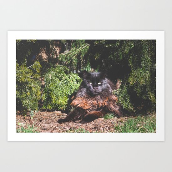 The king of the cats Art Print