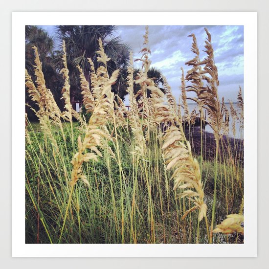 Beach Wheat Art Print