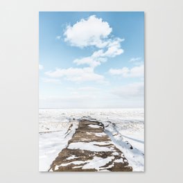 Middle of Winter Canvas Print