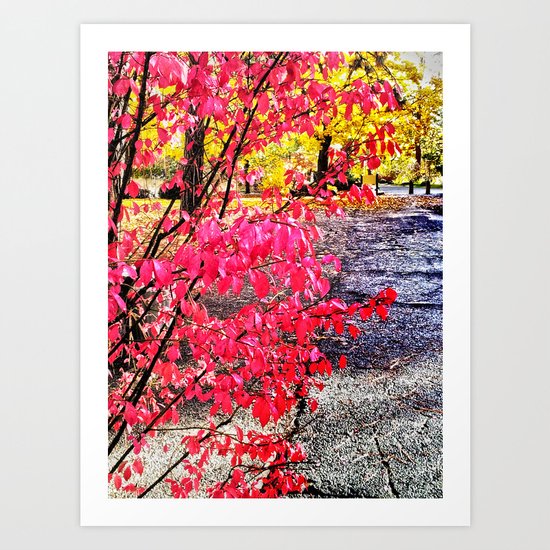 A colorful path Art Print