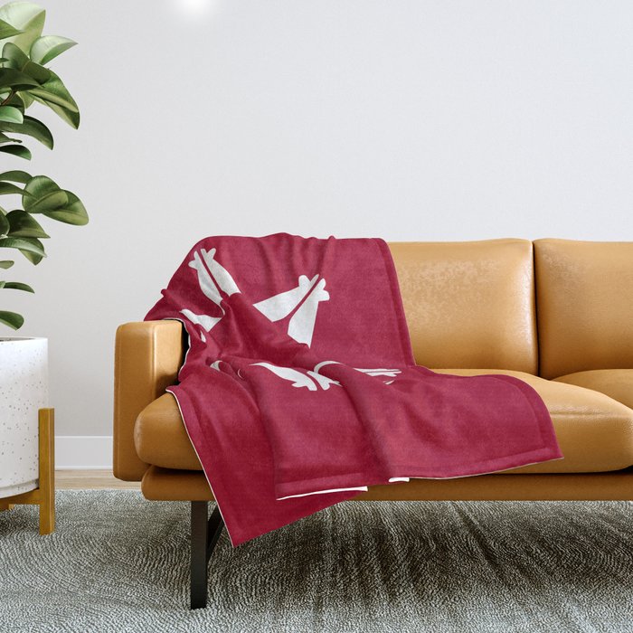 Lakota sioux blankets discount