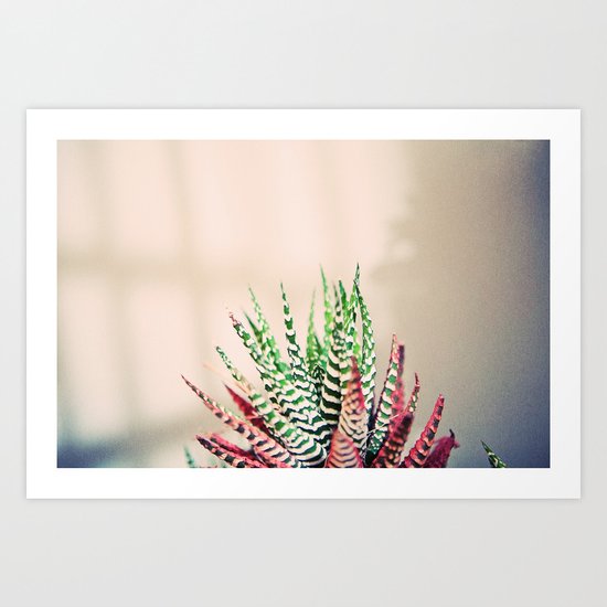 The Order of Things Art Print