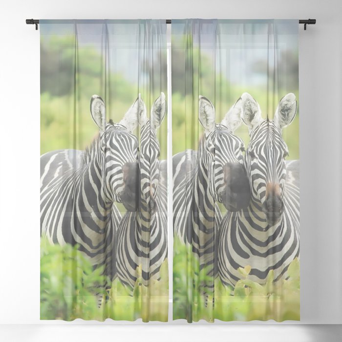 Sheer Curtain