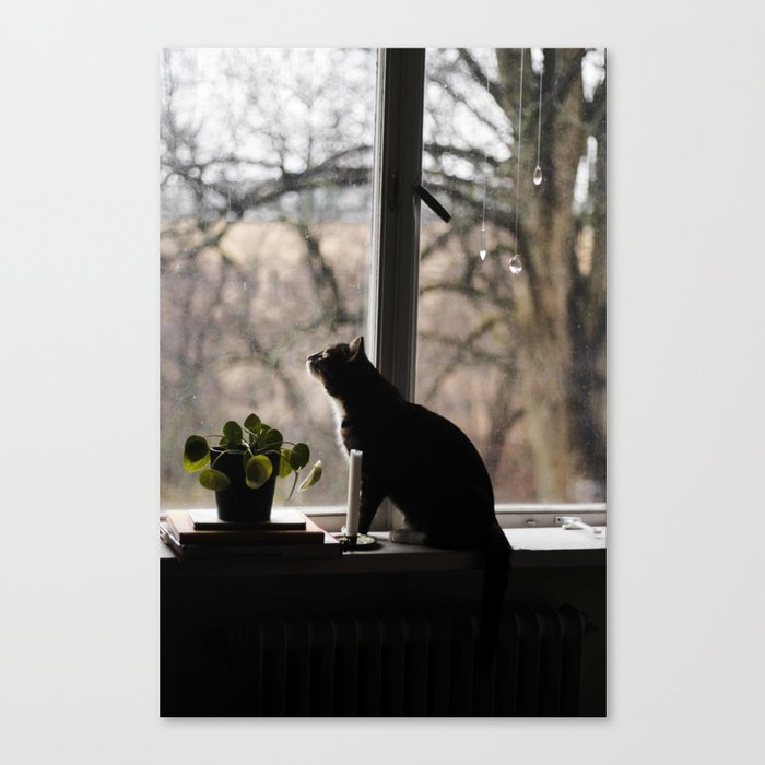 cat Canvas Print