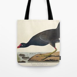 Common Gallinule from Birds of America (1827) by John James Audubon  Tote Bag