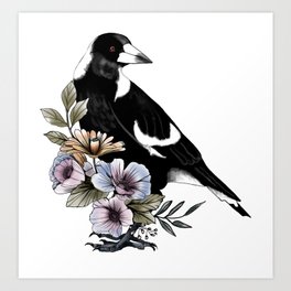 Magpie bird black and white and flowers Art Print