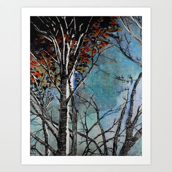Land of the Silver Birch Art Print