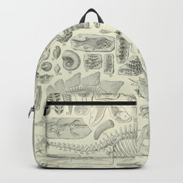 Fossil Chart Backpack