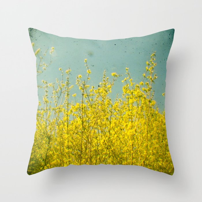 Throw Pillow