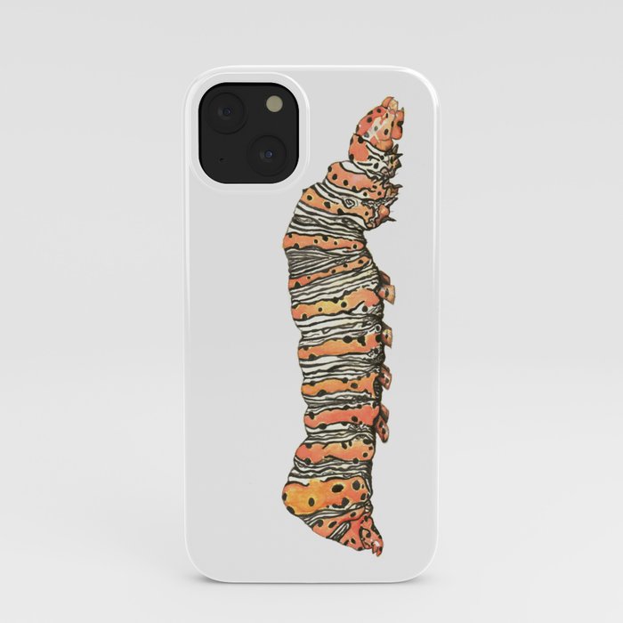 Beautiful Wood-nymph Caterpillar iPhone Case
