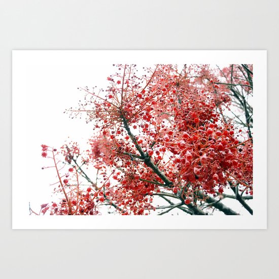 Star Berries Art Print