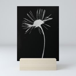 Flower Photogram Mini Art Print